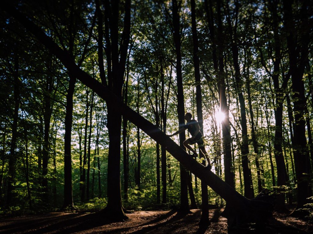 Accrobranche à Treigny Nature Adventure — accrobranche aventure en forêt