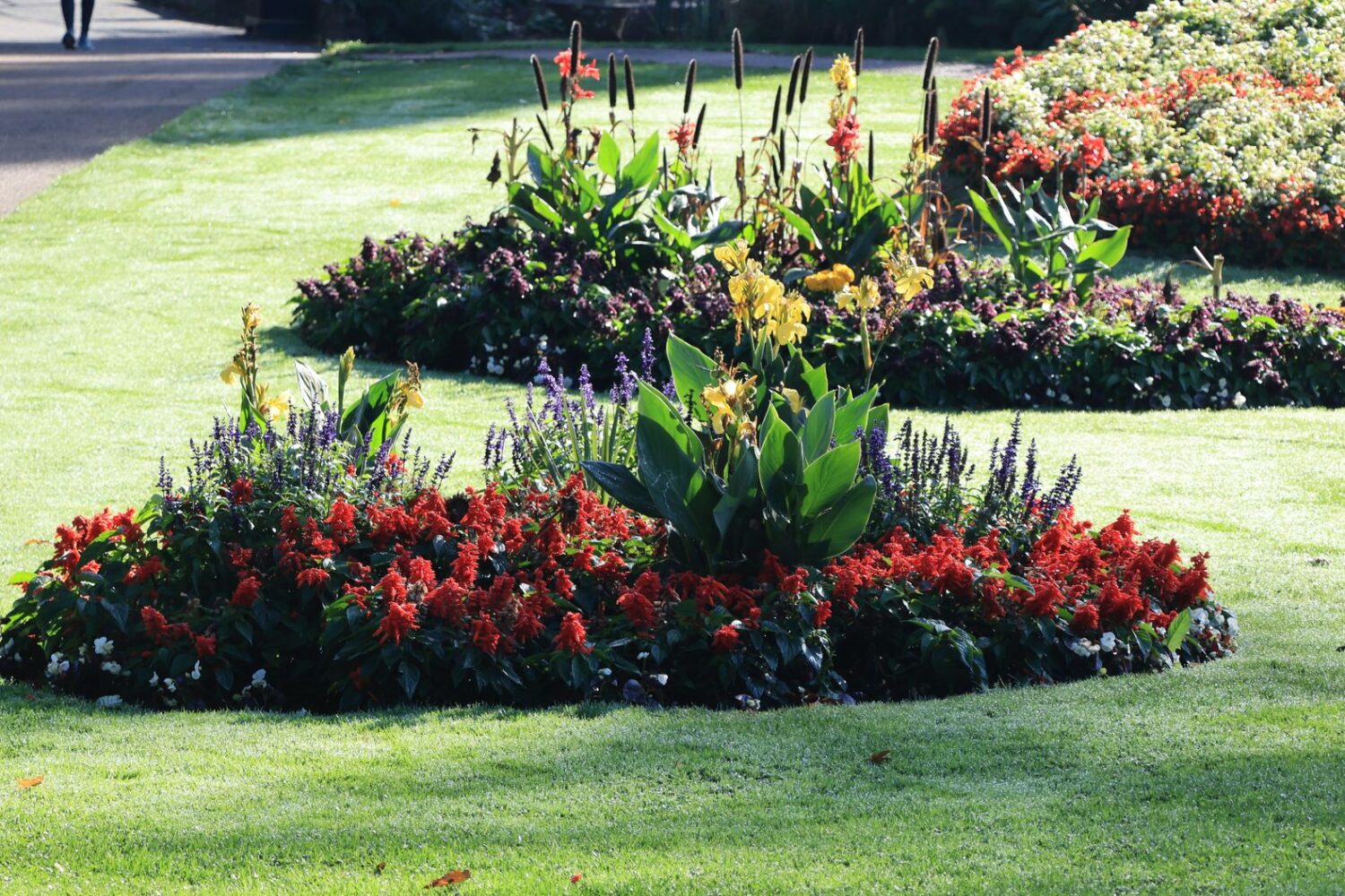 Les plus beaux parcs et jardins de Montpellier : notre sélection